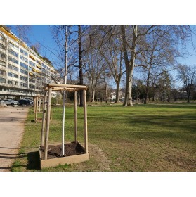 Plantations d'arbres supplémentaires dans les parcs urbains. Îlots de fraîcheurs. Parc des Contades Strasbourg.